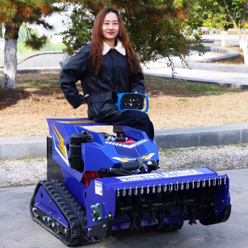 Smart Home Robot - Customized High Quality Zero Turn Smart