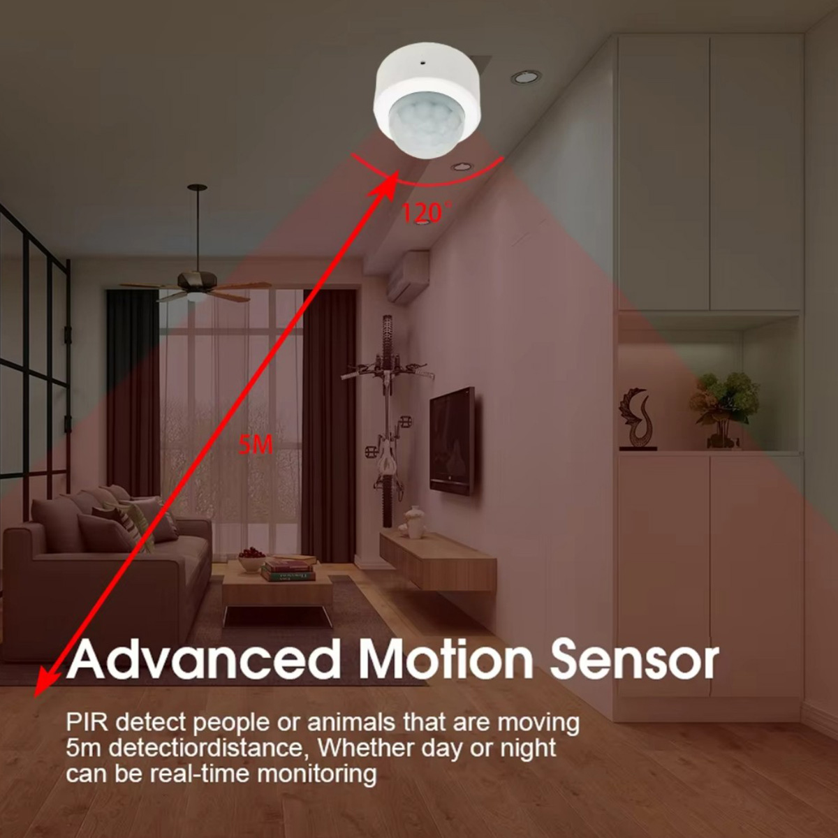 Zigbee PIR Motion Sensor Human - Smart Home Wiser recension och pris