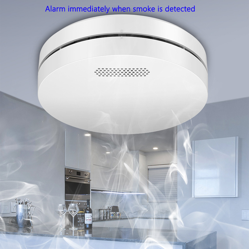 Tuya WiFi Detection Audible an - Smart Smoke Detector recension och pris