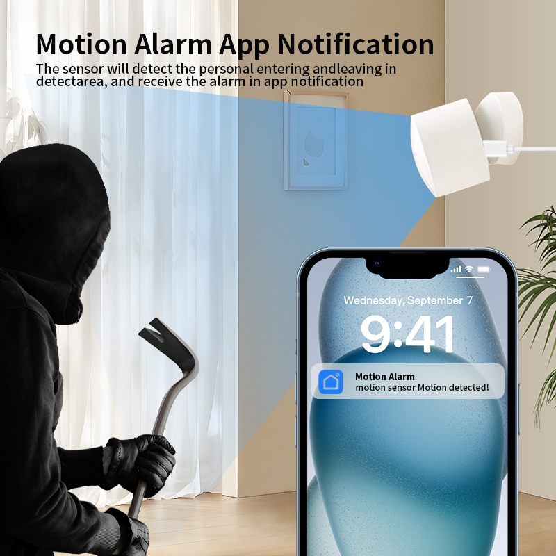 Zigbee or Wi-Fi Human Presence - Smart Home Or Smart Home recension och pris
