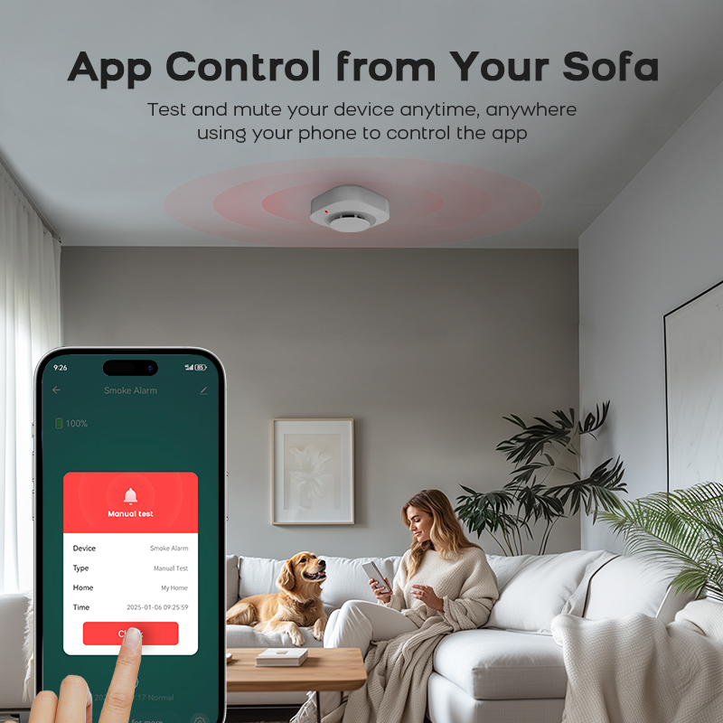 Wifi Smoke Sensor Home Securit - Smart Smoke Detector recension och pris