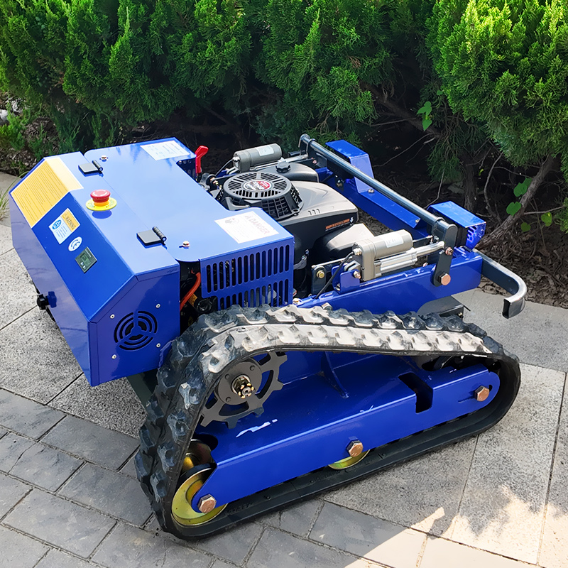 Customized Remote Control Lawn - Smart Home Robot recension och pris
