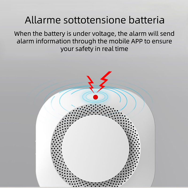 Tuya Zigbee Smoke Sensor Home  - Smart Smoke Detector recension och pris