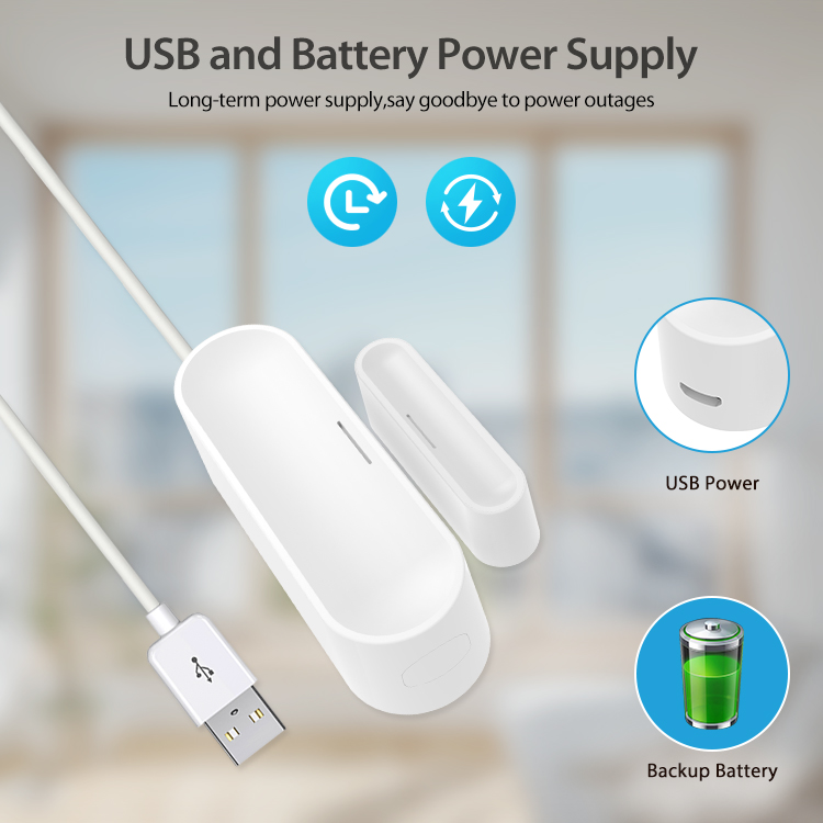 Tuya Smart Door Window Sensor  - Smart Home Or Smart Home recension och pris