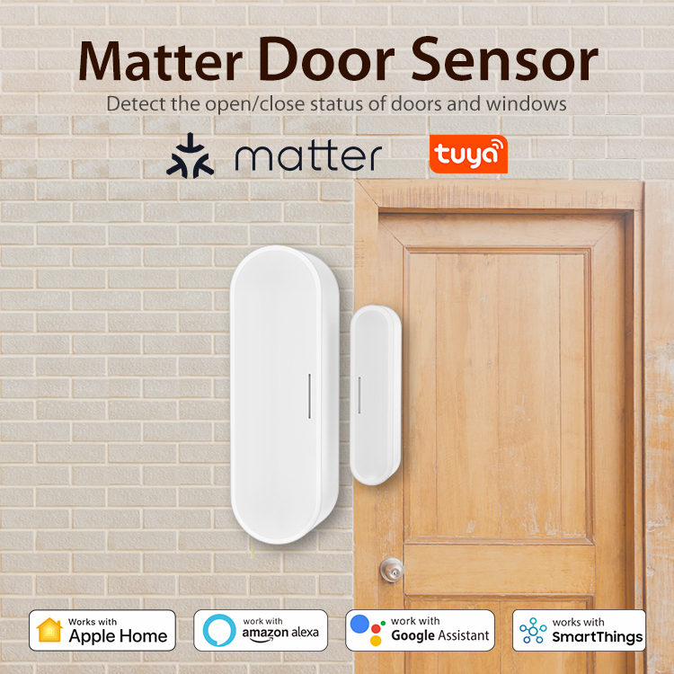 Tuya Smart Door Window Sensor  - Smart Home Or Smart Home recension och pris