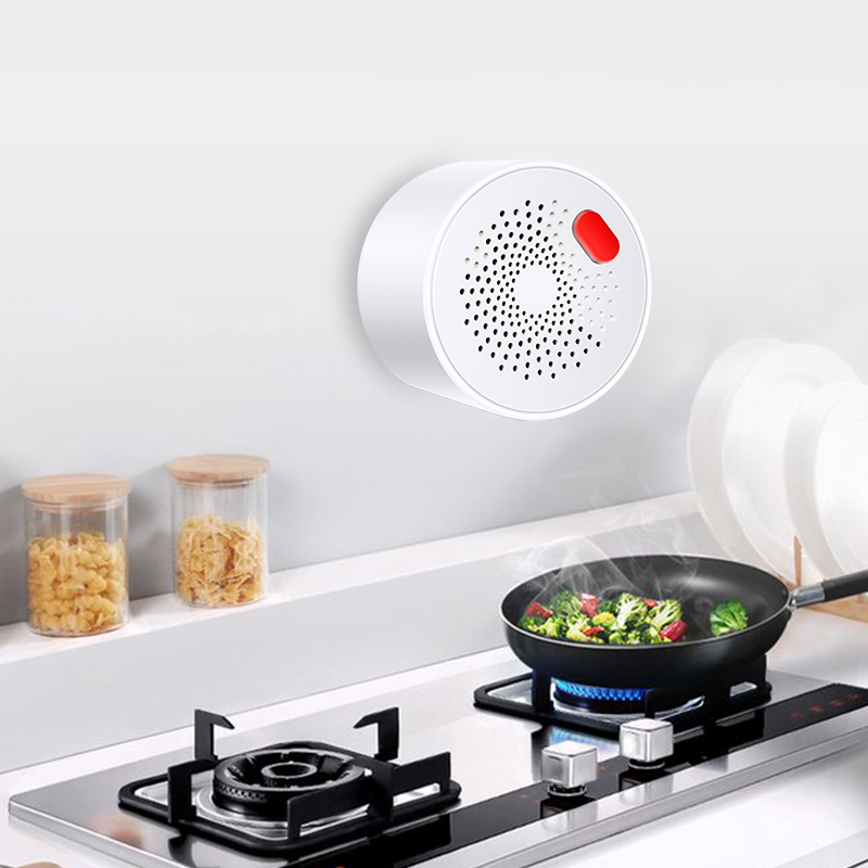 Tuya Smart Home Wifi Natural G - Smart Home Network recension och pris